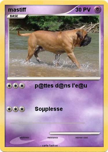 Pokemon mastiff