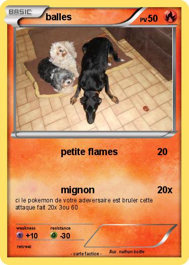 Pokemon balles