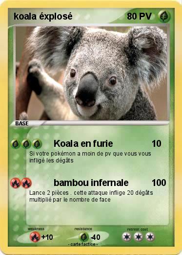 Pokemon koala éxplosé