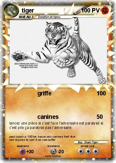 Pokemon tiger