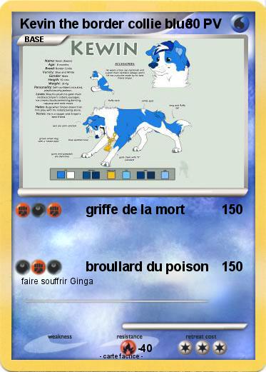 Pokemon Kevin the border collie blue