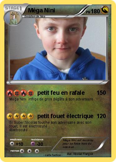 Pokemon Méga Nini