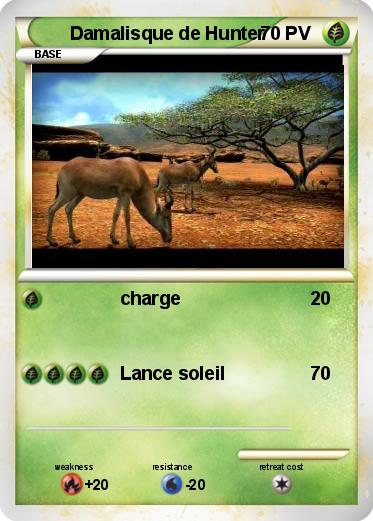 Pokemon Damalisque de Hunter