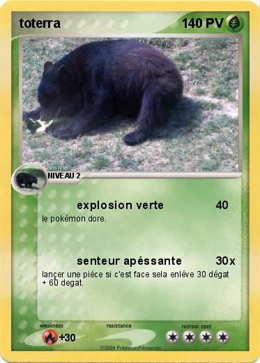 Pokemon toterra 
