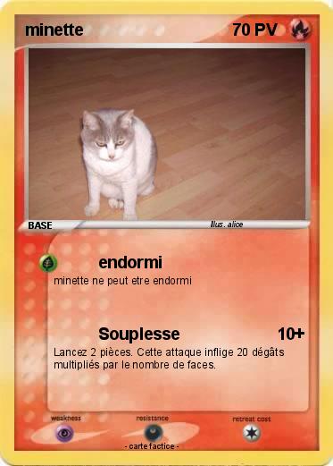 Pokemon minette