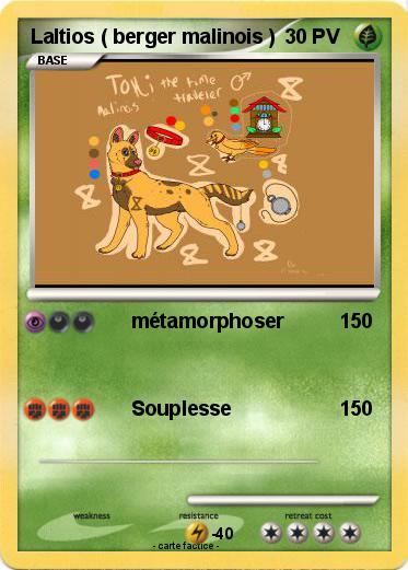 Pokemon Laltios ( berger malinois )