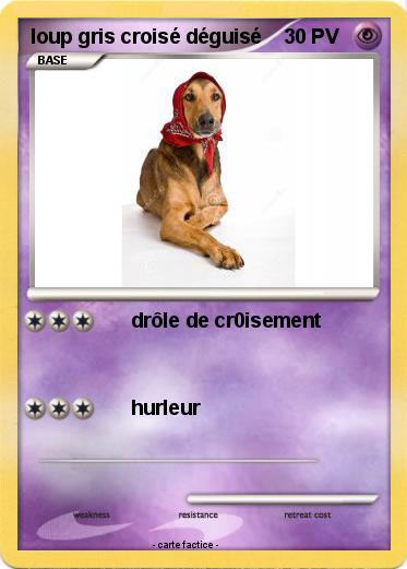 Pokemon loup gris croisé déguisé