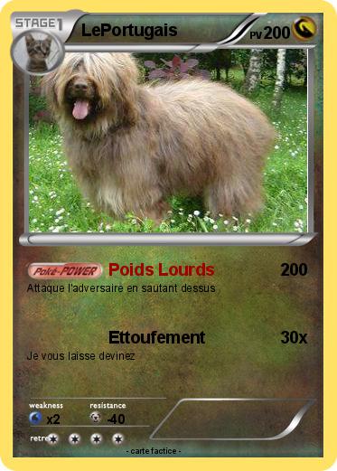 Pokemon LePortugais