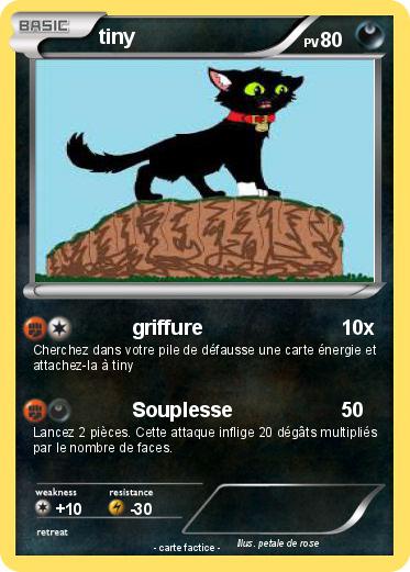 Pokemon tiny