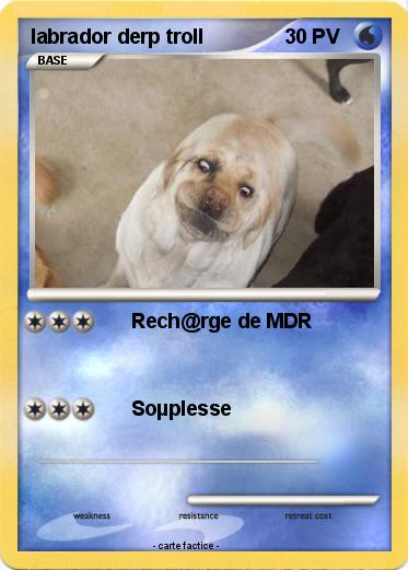 Pokemon labrador derp troll