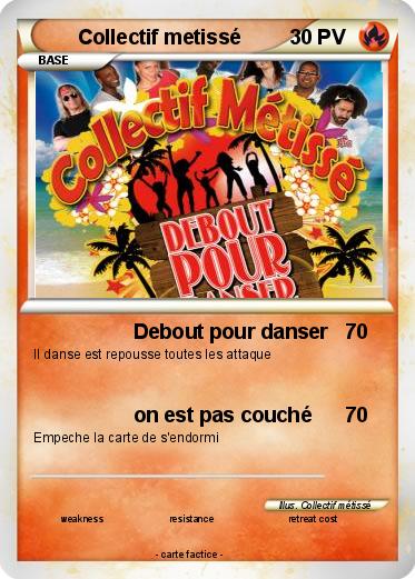 Pokemon Collectif metissé