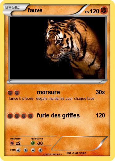 Pokemon fauve