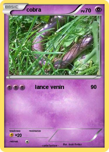 Pokemon cobra