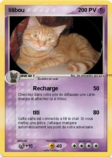 Pokemon lilibou