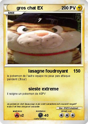 Pokemon gros chat EX