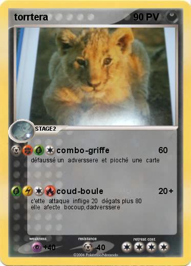 Pokemon torrtera