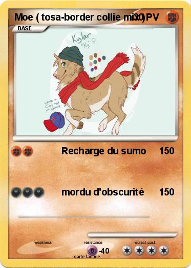 Pokemon Moe ( tosa-border collie mix )