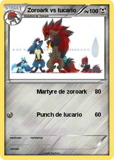 Pokemon Zoroark vs lucario