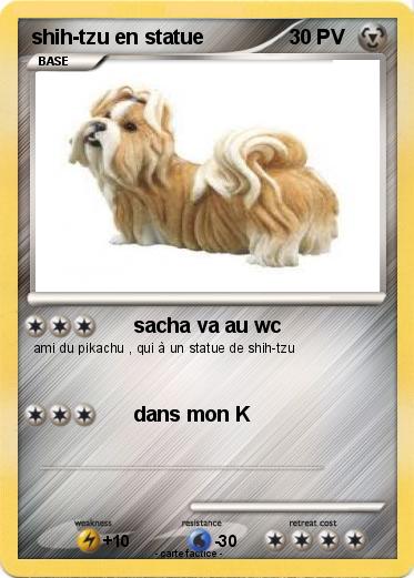 Pokemon shih-tzu en statue