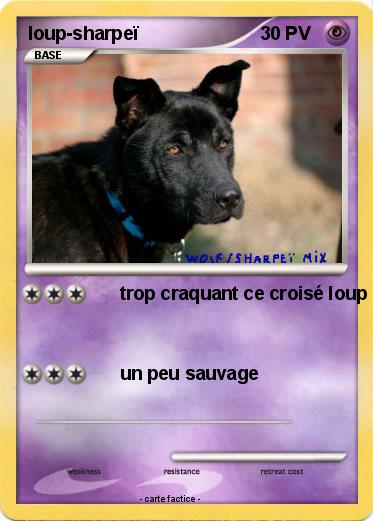 Pokemon loup-sharpeï