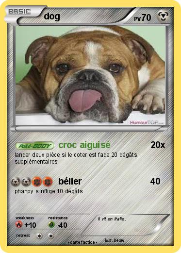 Pokemon dog