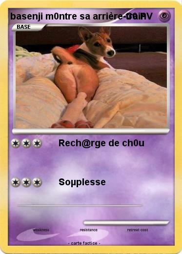 Pokemon basenji m0ntre sa arrière-train
