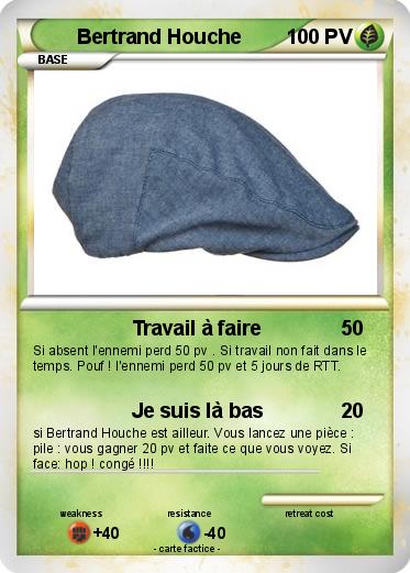 Pokemon Bertrand Houche