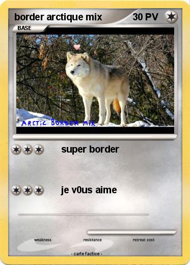 Pokemon border arctique mix