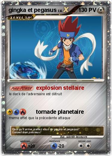 Pokemon gingka et pegasus