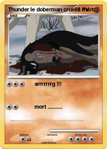 Pokemon Thunder le doberman cruel à mort