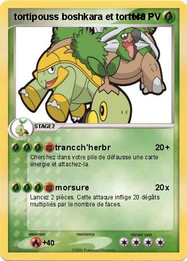 Pokemon tortipouss boshkara et tortera 