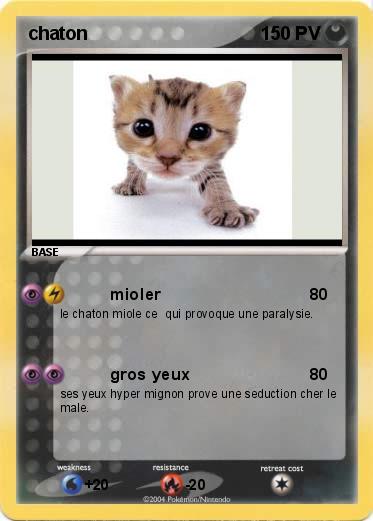 Pokemon chaton