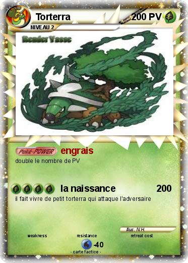Pokemon Torterra