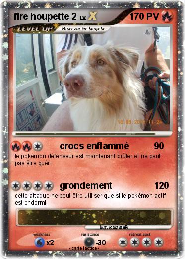 Pokemon fire houpette 2
