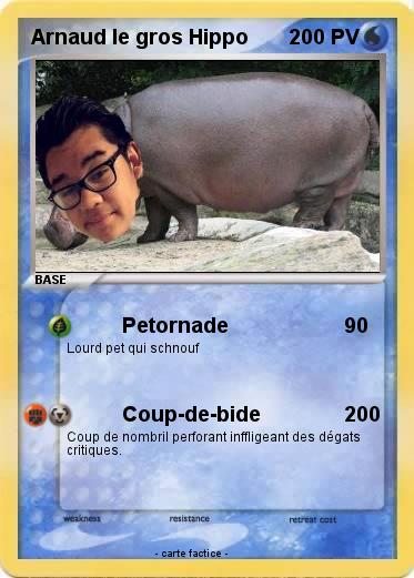 Pokemon Arnaud le gros Hippo