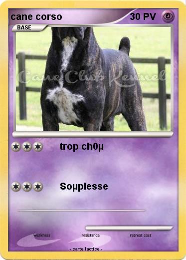 Pokemon cane corso