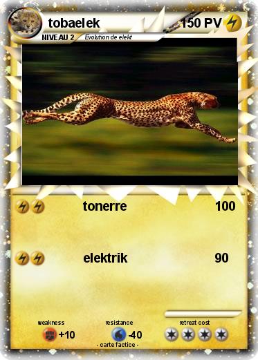 Pokemon tobaelek