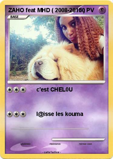 Pokemon ZAHO feat MHD ( 2008-2016 )