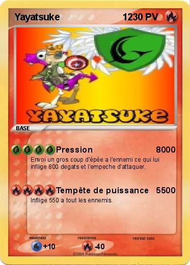 Pokemon Yayatsuke                        12