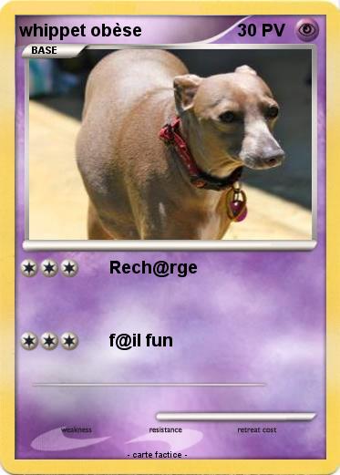 Pokemon whippet obèse