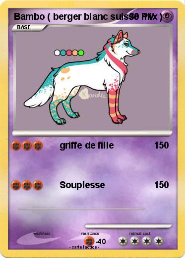 Pokemon Bambo ( berger blanc suisse mix )