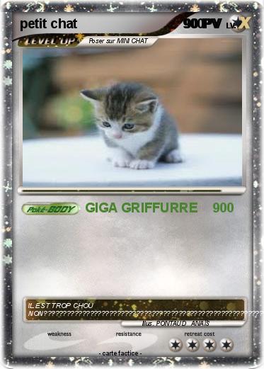 Pokemon petit chat                             900PV