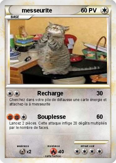 Pokemon messeurite