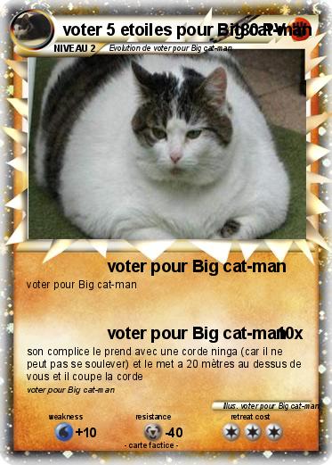 Pokemon voter 5 etoiles pour Big cat-man