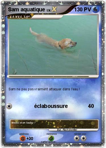 Pokemon Sam aquatique
