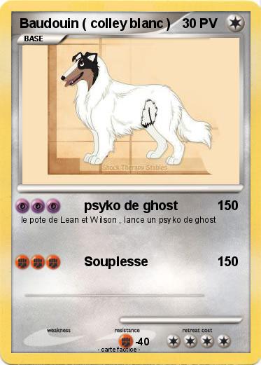 Pokemon Baudouin ( colley blanc )