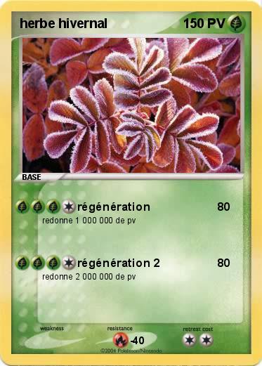 Pokemon herbe hivernal