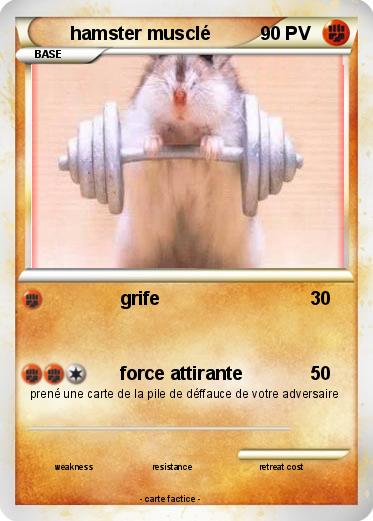 Pokemon hamster musclé