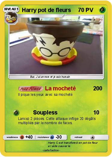 Pokemon Harry pot de fleurs