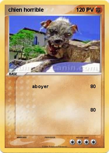 Pokemon chien horrible